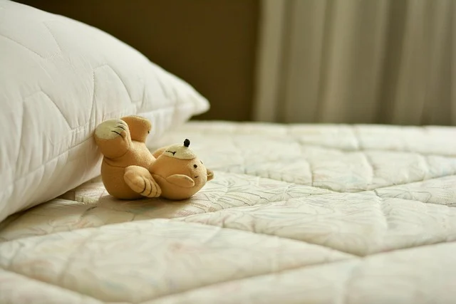 Best Mattress for Back Pain