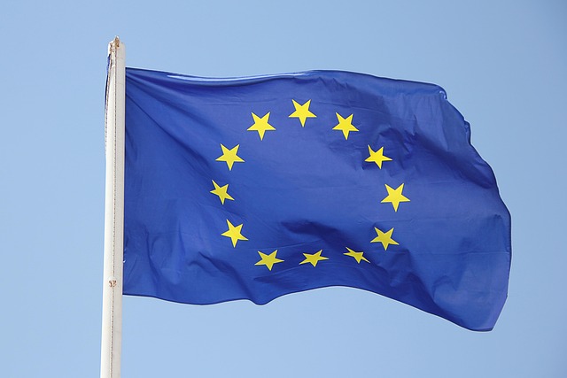 Brands That Support Europe