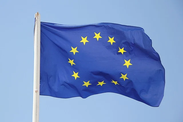 Brands That Support Europe