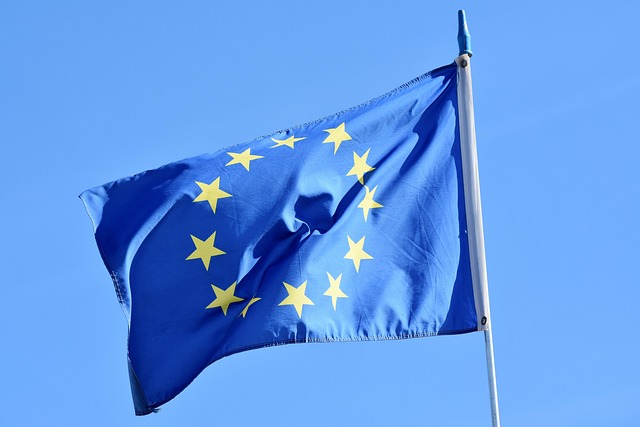 Brands That Support Europe