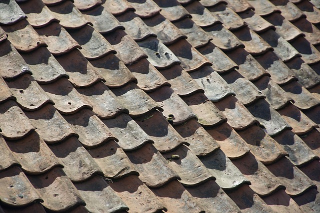 Close-up of a ceramic and a titanium hair straightener plate.