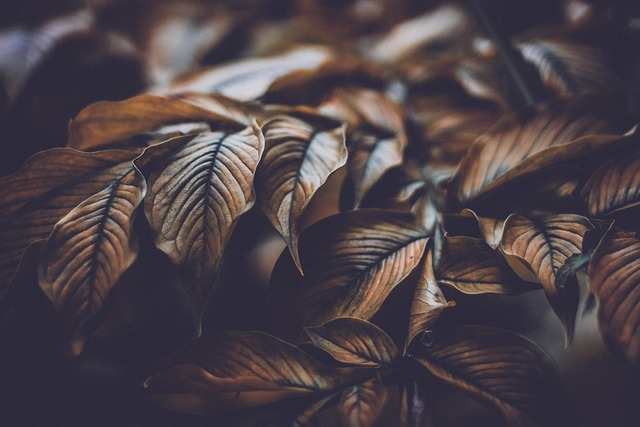 Close-up texture of natural linen fabric in a neutral beige color