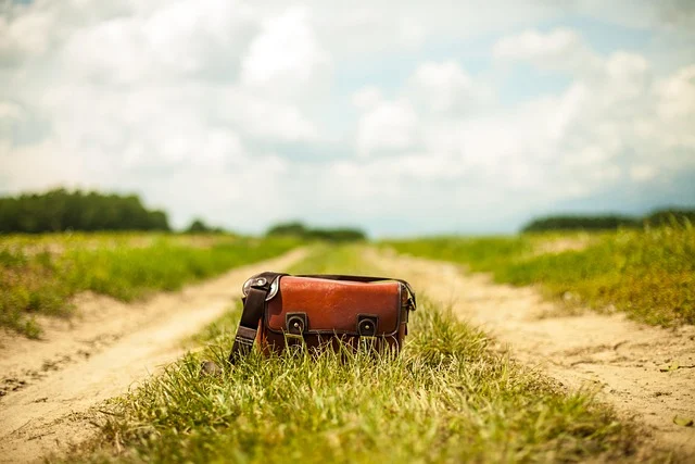 A brown leather bag sitting in grass along a dirt path
