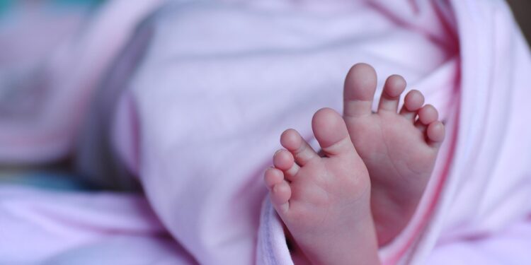elegant french tip toes