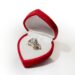 engagement ring insurance policy document