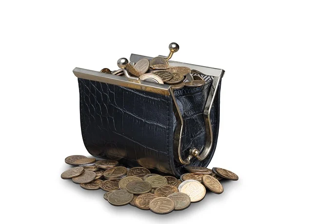 A small black coin purse overflowing with coins