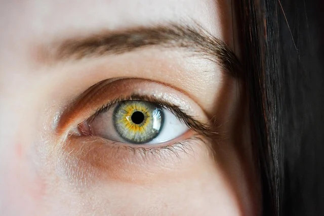 Examples of natural-looking eyebrows achieved with recommended eyebrow pencils