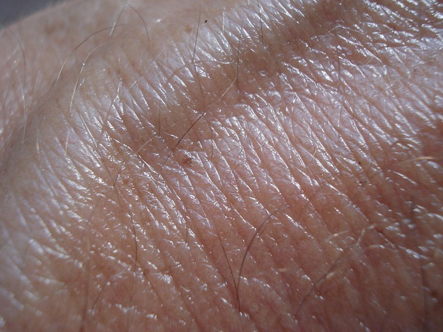 Find a Dermatologist Near Me: Your Guide