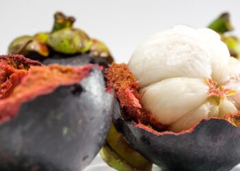 fresh purple mangosteen fruit