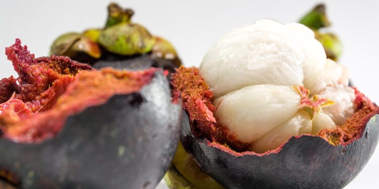 fresh purple mangosteen fruit
