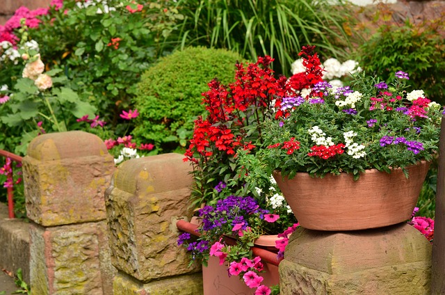 A gardener planting colorful annual flowers in a raised garden bed in June 2026 (annuals)