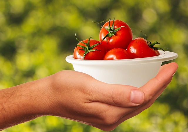 Healthy meal prep for a medical weight loss diet