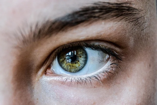 Close-up of a human eye and eyebrow