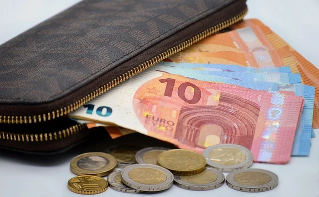 A wallet with Euro banknotes and coins coming out
