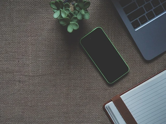 Top-down view of a smartphone, notebook, laptop, and plant on fabric