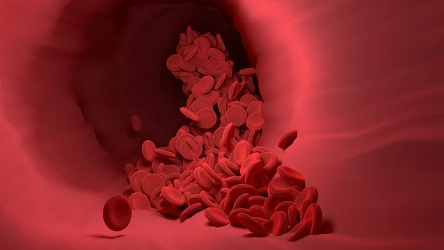 3D rendering of red blood cells inside a blood vessel
