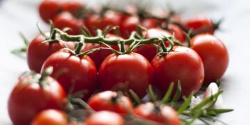 large ripe beefsteak tomato
