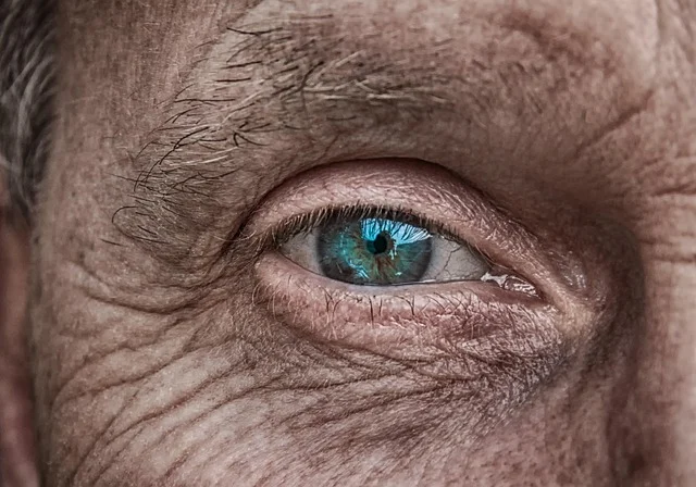 Permanent Makeup Cost for Eyebrows: What to Expect