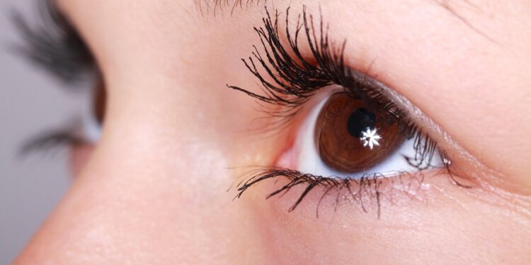 Permanent Makeup Cost for Eyebrows: What to Expect