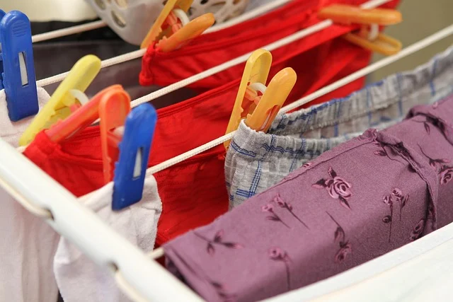 Underwear hanging on a drying rack with colorful clothespins