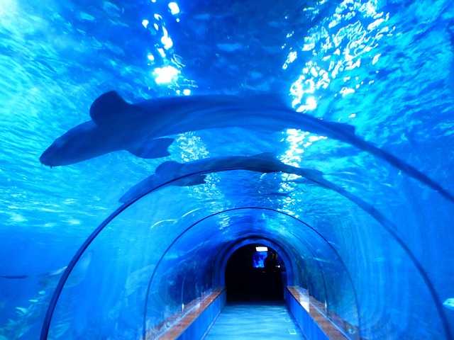 Shark Flex Style in action, showing airflow and heat settings (shark flexstyle)