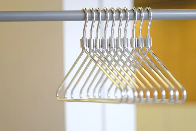Skims: A row of empty metal clothes hangers hanging on a clothing rack