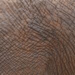 skin texture hyperpigmentation