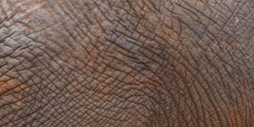 skin texture hyperpigmentation