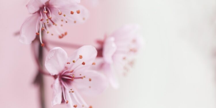 spring pastel nails