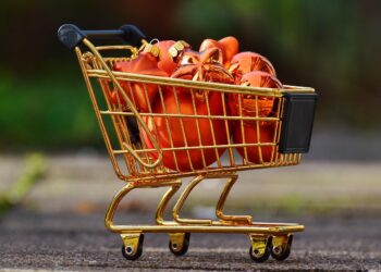 stylish woman shopping online