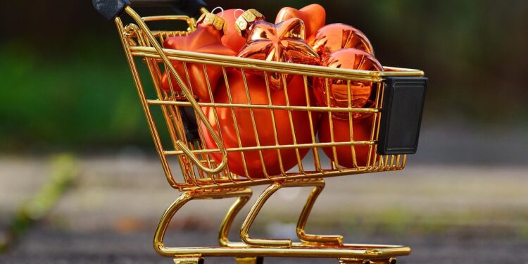 stylish woman shopping online