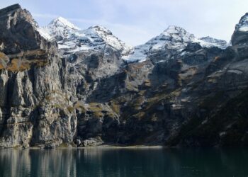 swiss brands montage