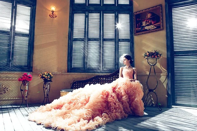 Types of Sleeves for Winter Gowns