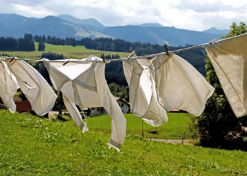 Types of Underwear: Your Guide to Comfort & Value