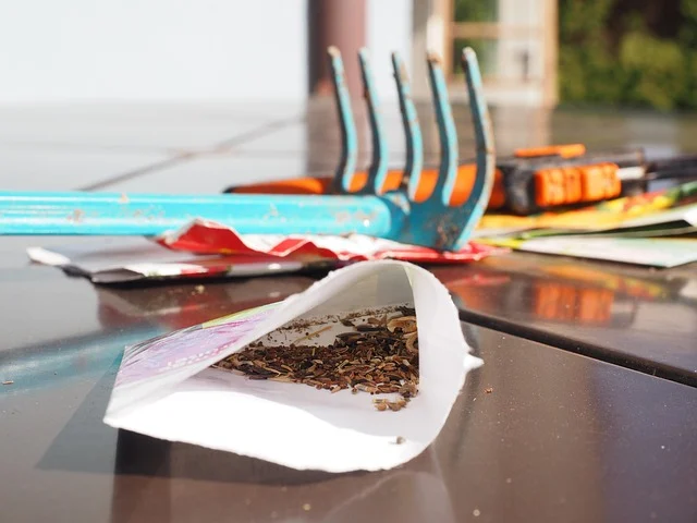 Annuals: An open packet of seeds with garden tools in the background