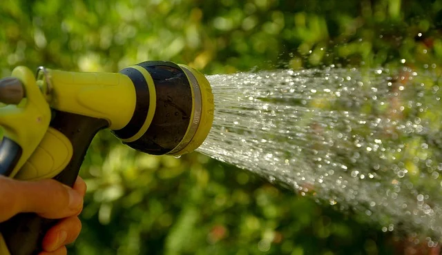A garden hose spraying water outdoors