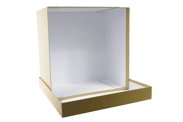An open empty cardboard packaging box
