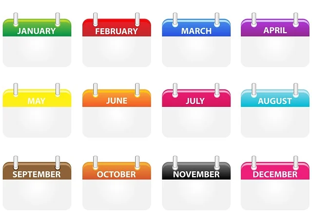 Zara sale: Twelve colorful calendar month icons from January to December