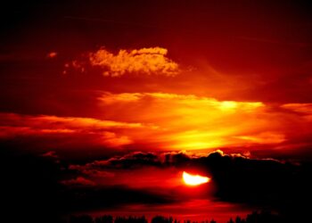 beauty of joseon relief sun
