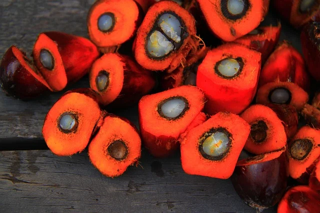 Cut open bright orange oil palm fruits showing seeds