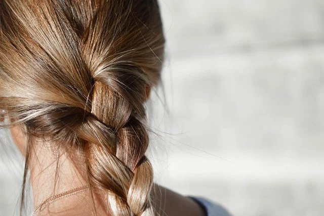 The back of a person's head with braided blonde hair